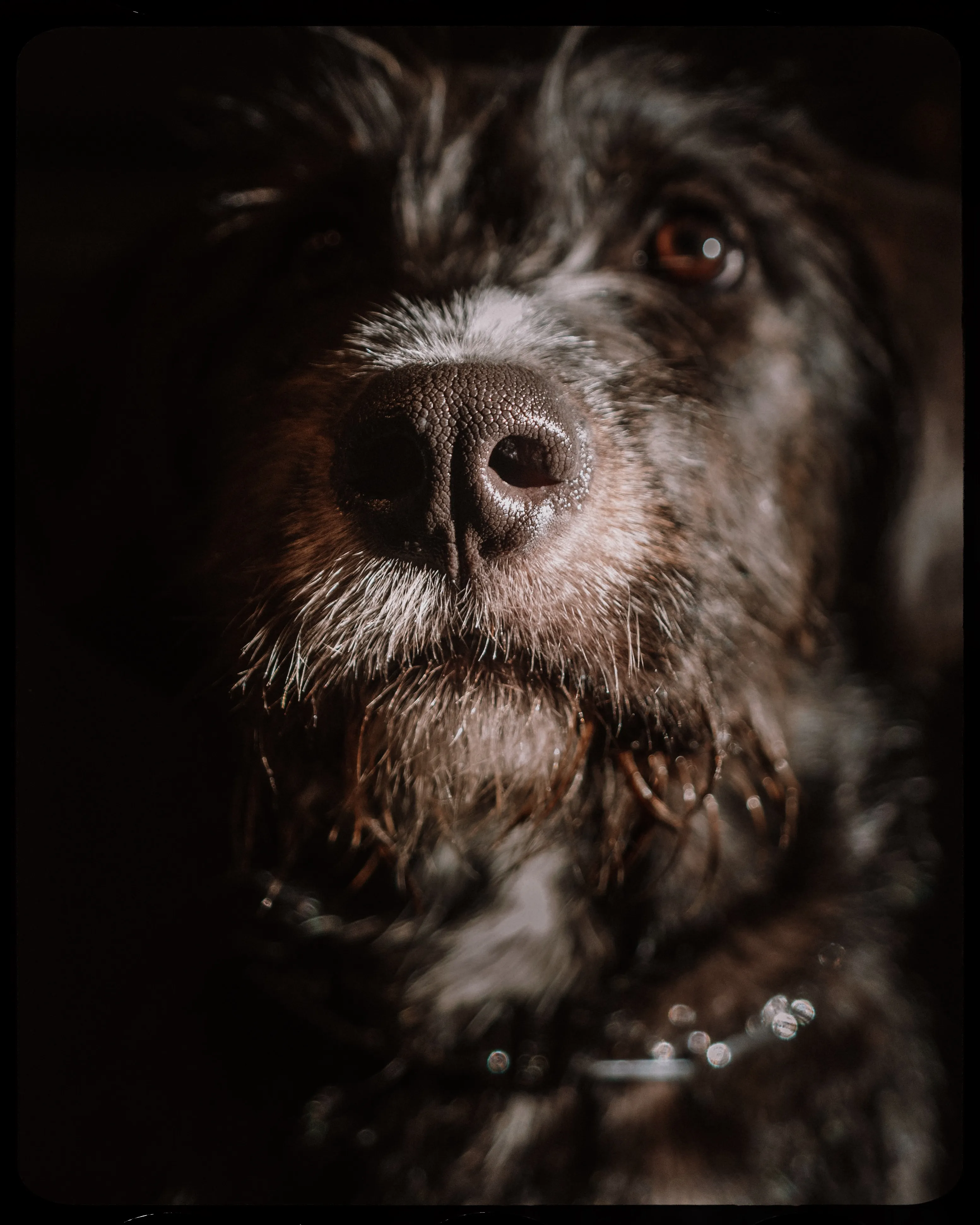 Personal photograph of Hemingway