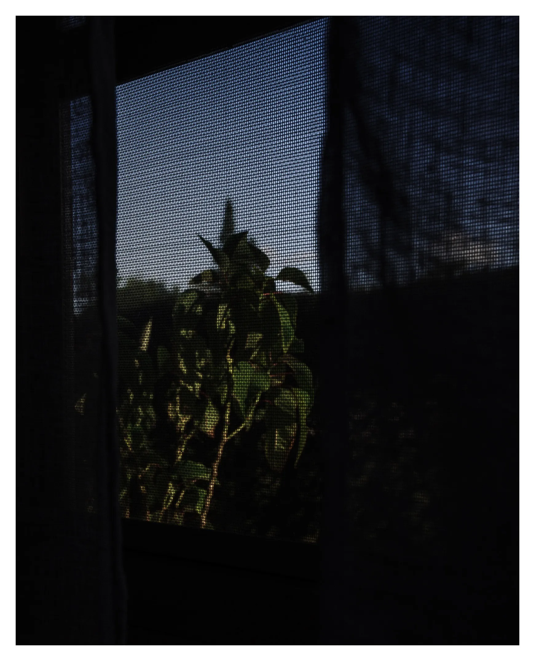 Personal photograph from Altamonte Springs