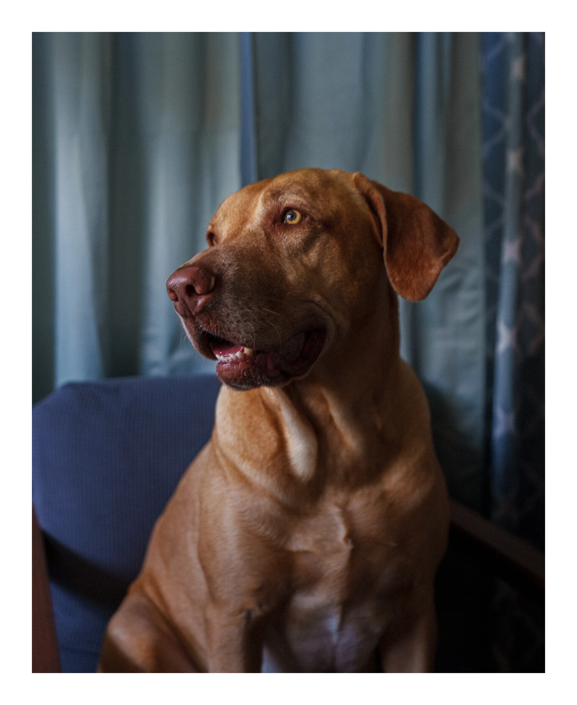 Personal photograph from Buddy