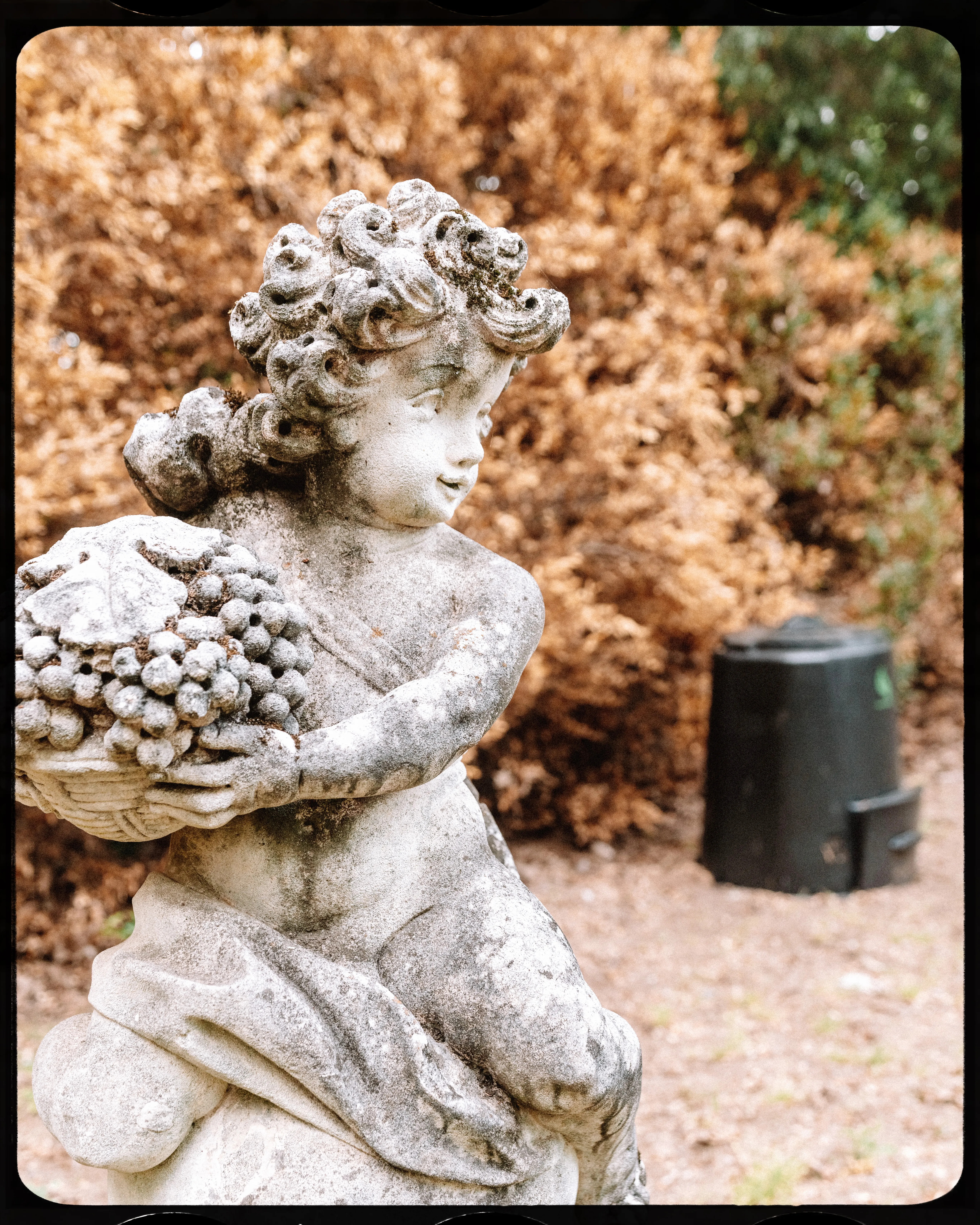 Personal photograph from Cheekwood Estate