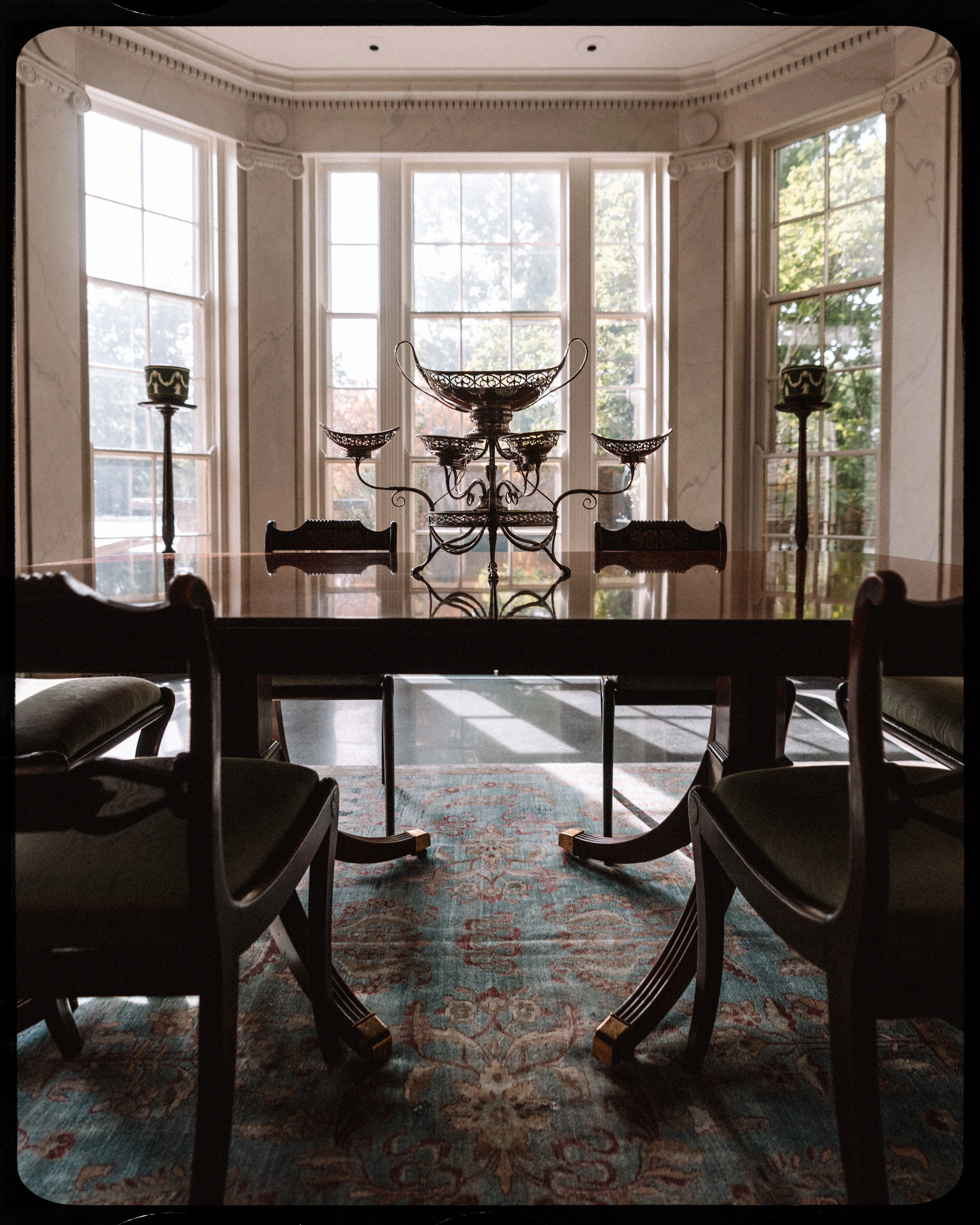 Personal photograph from Cheekwood Estate