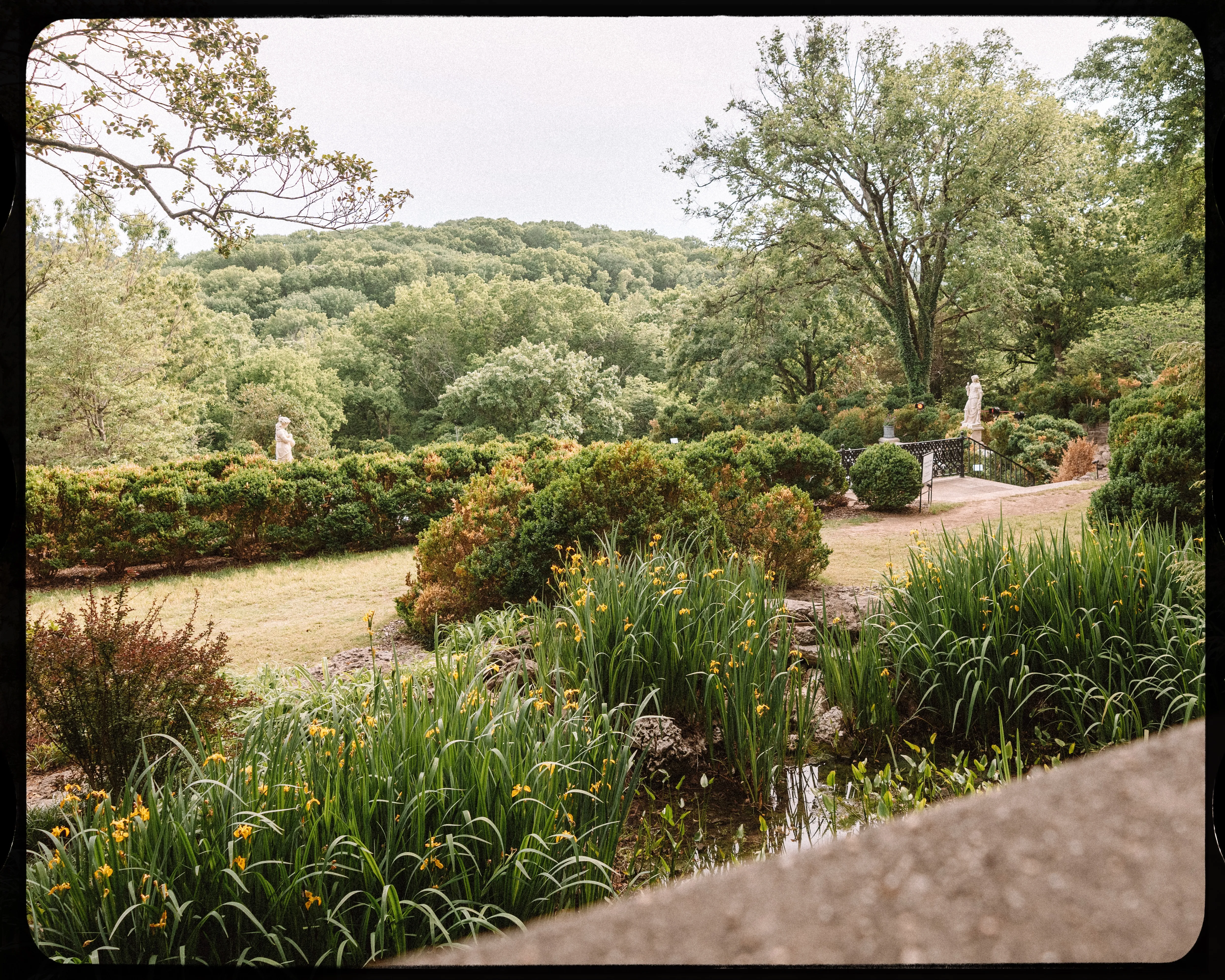 Personal photograph from Cheekwood Estate
