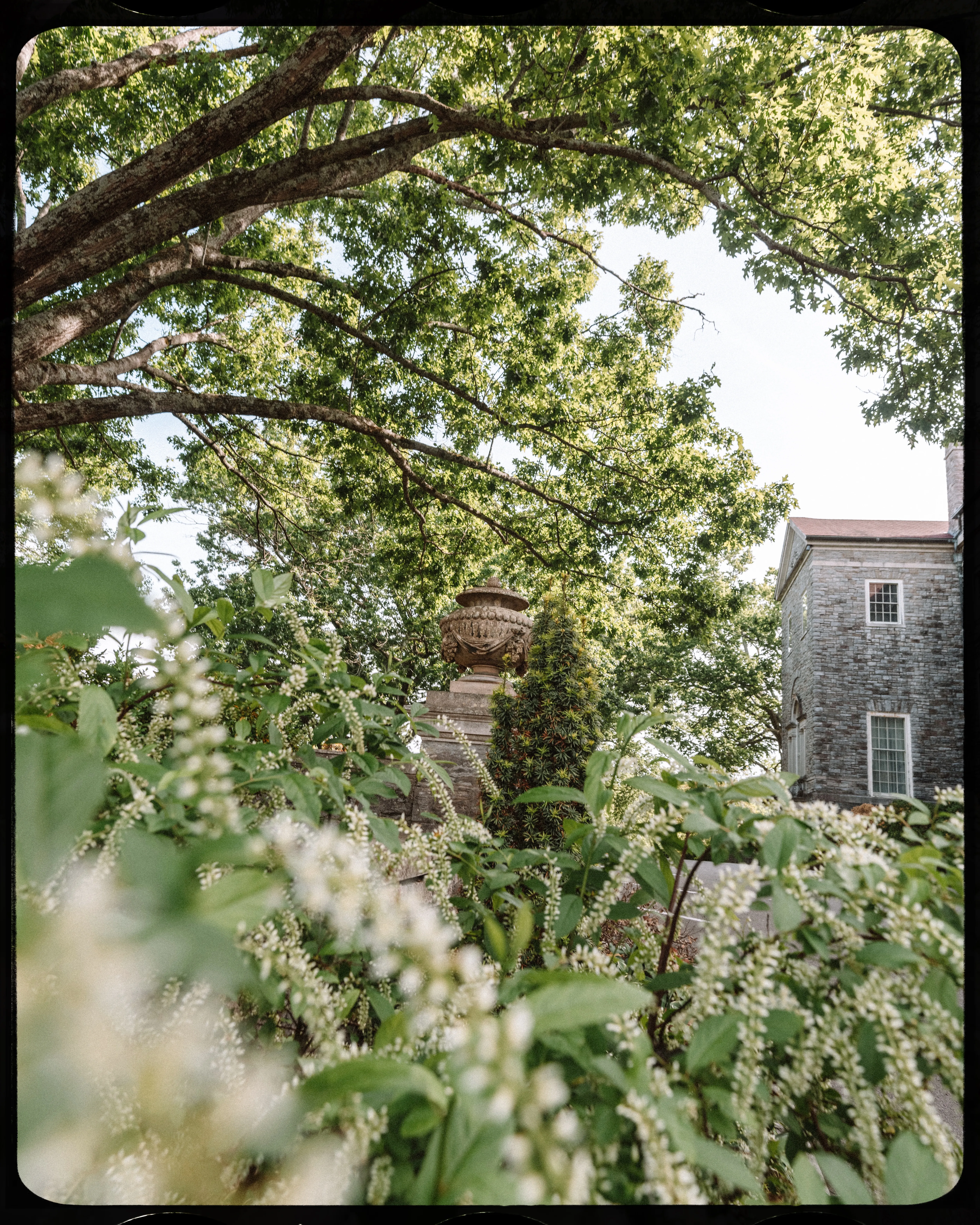 Personal photograph from Cheekwood Estate