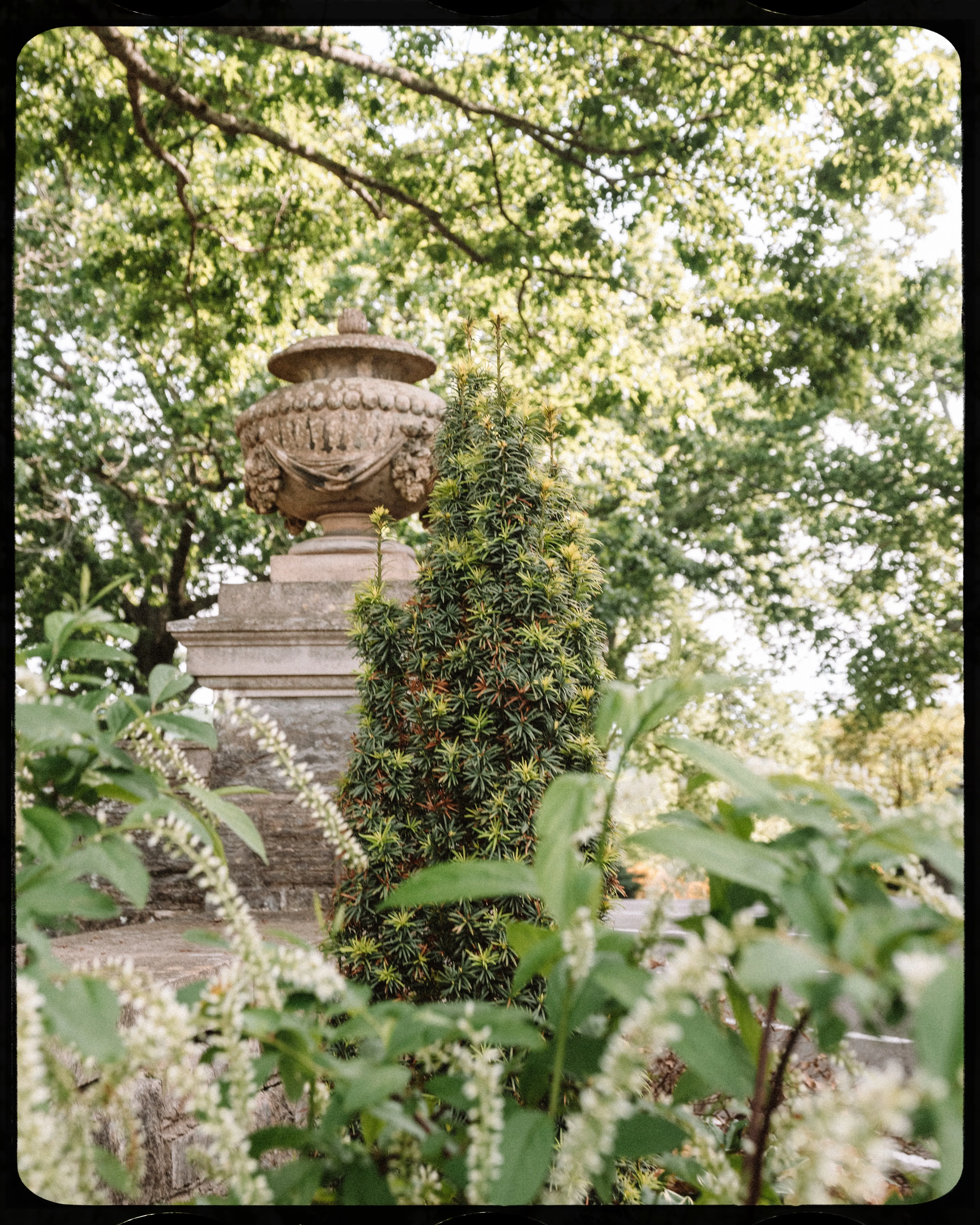 Personal photograph from Cheekwood Estate