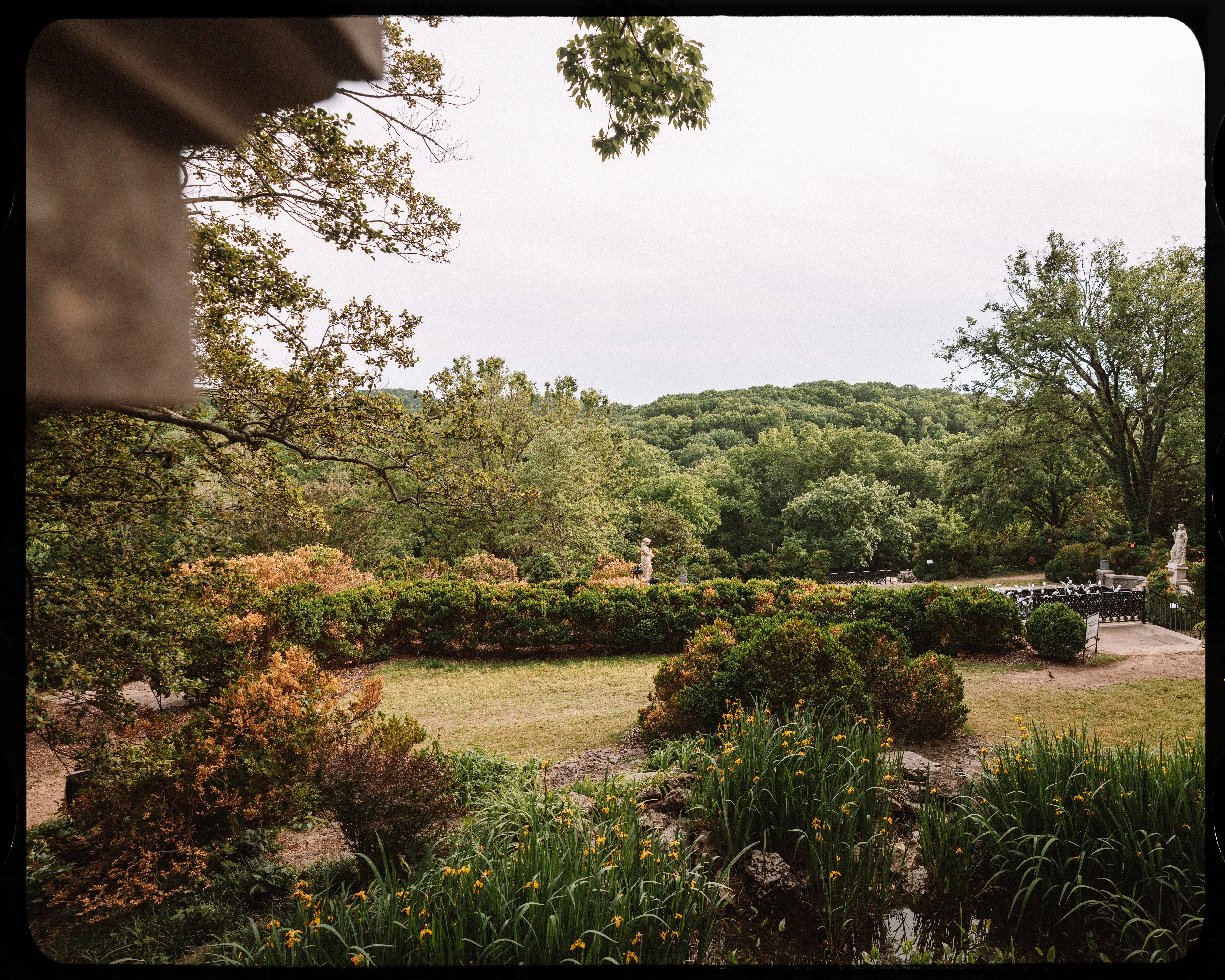 Personal photograph from Cheekwood Estate
