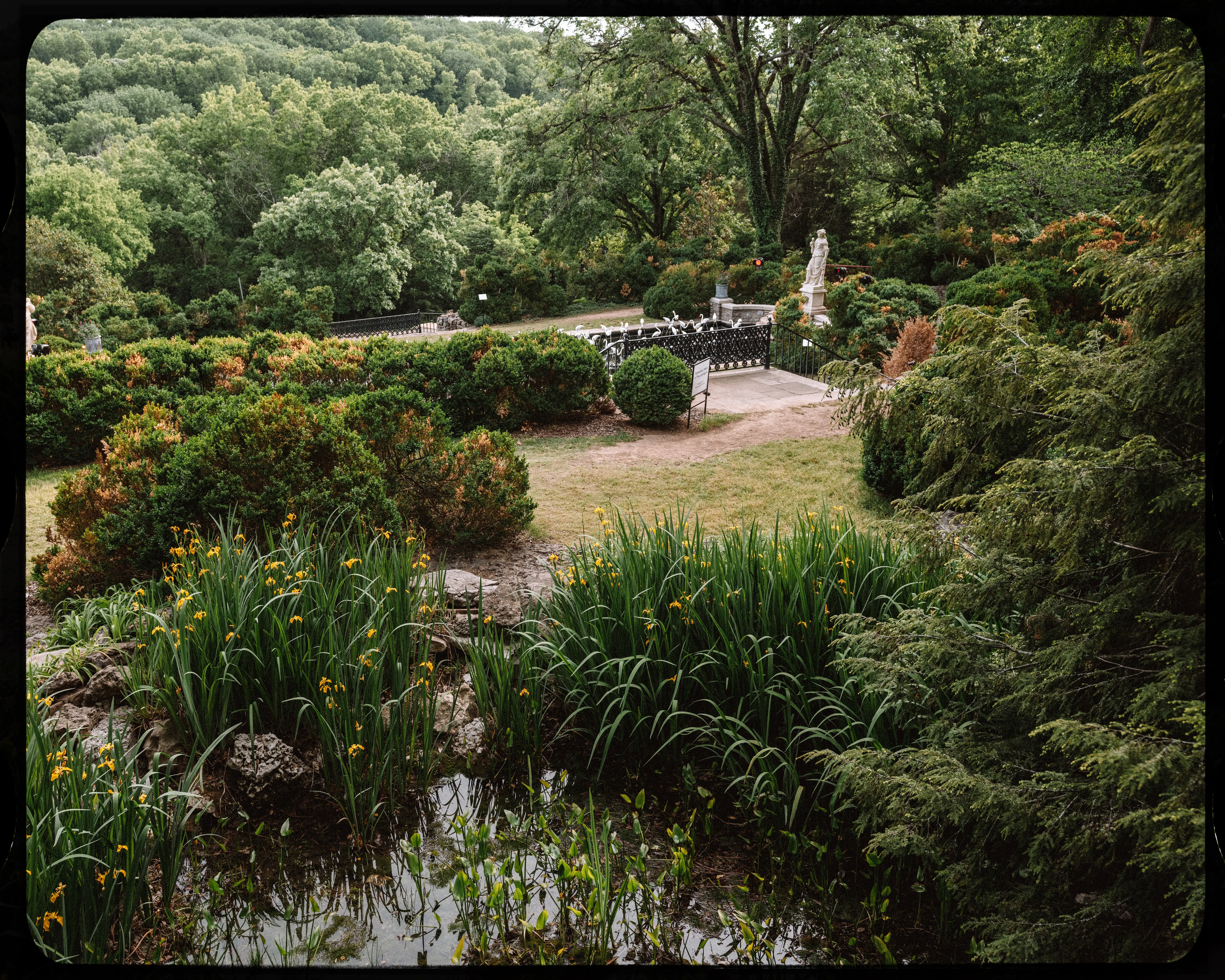 Personal photograph from Cheekwood Estate