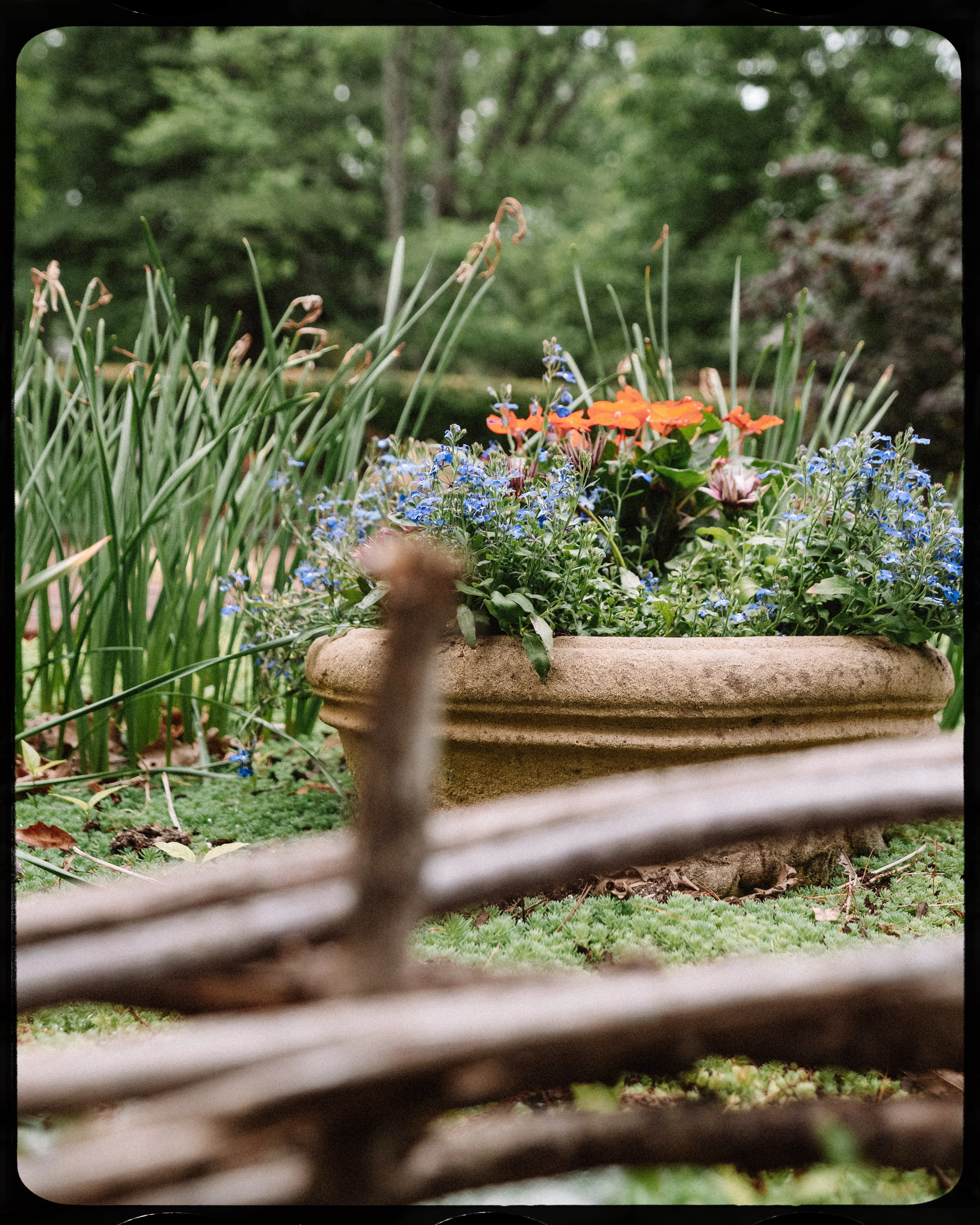 Personal photograph from Cheekwood Estate