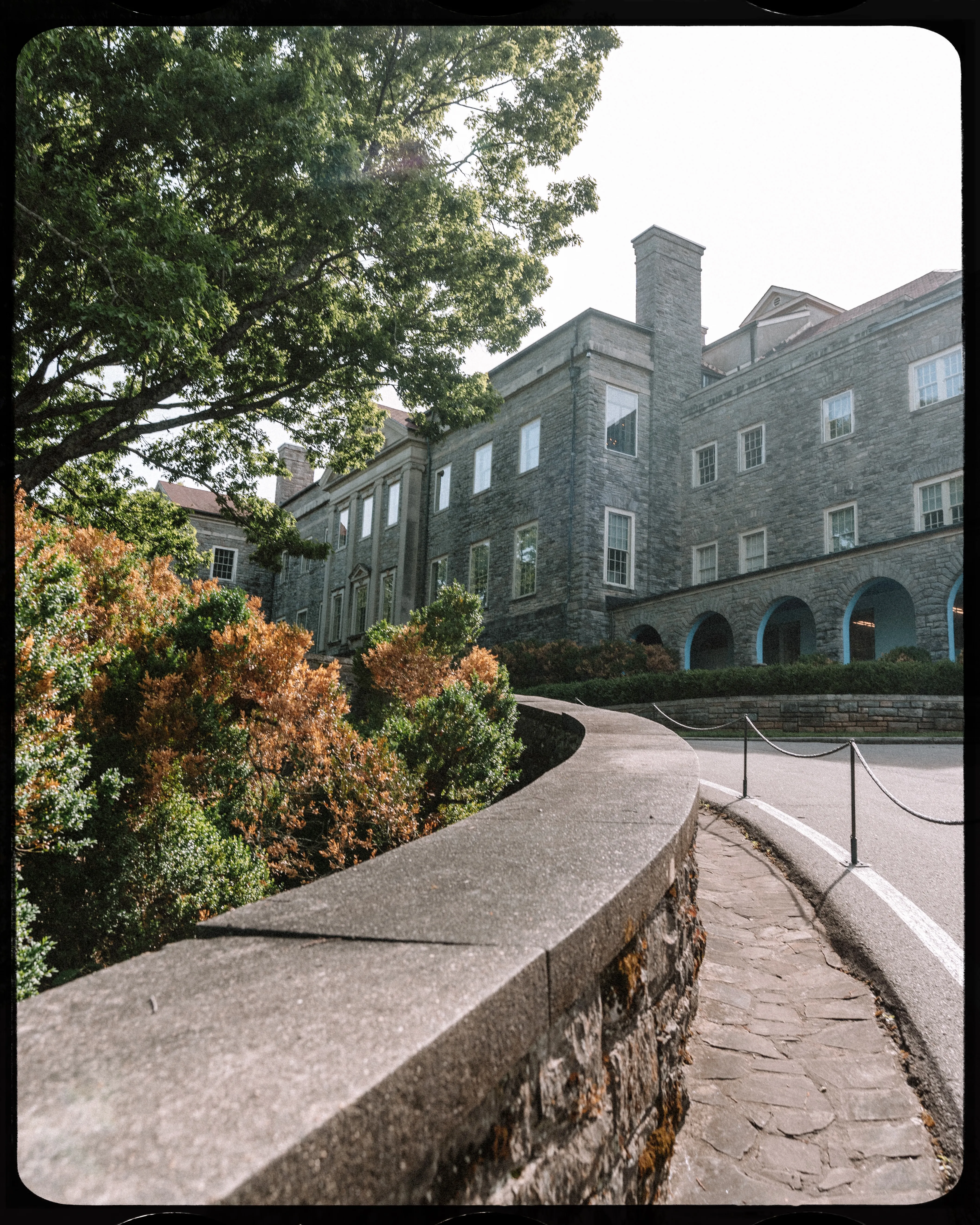 Personal photograph from Cheekwood Estate