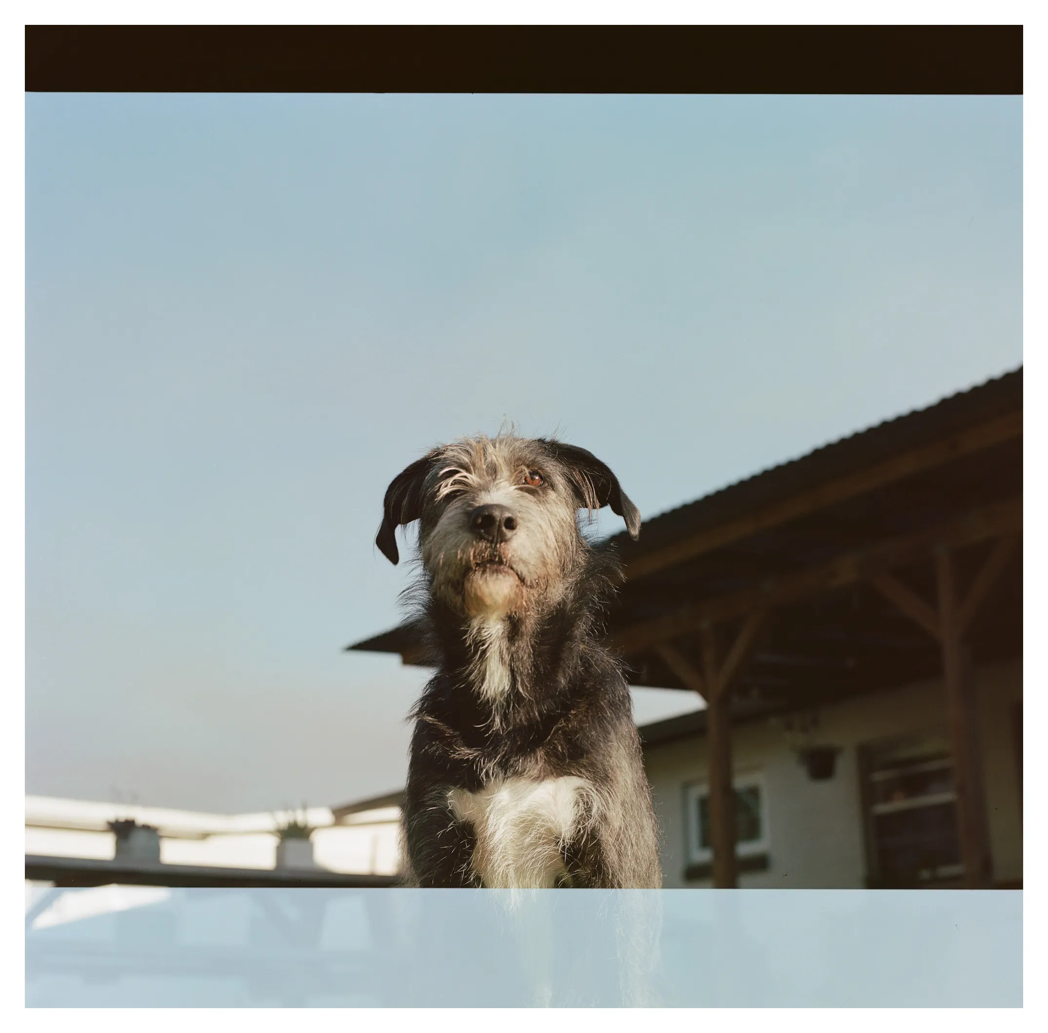 Personal photograph from Hemingway