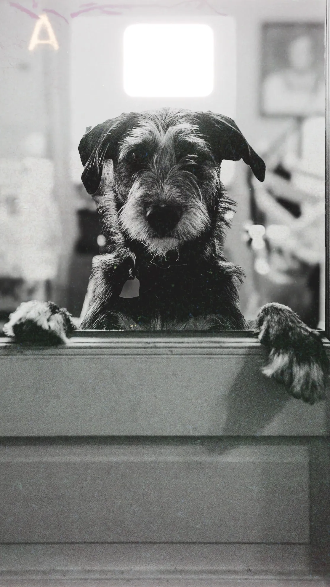 Personal photograph from Hemingway