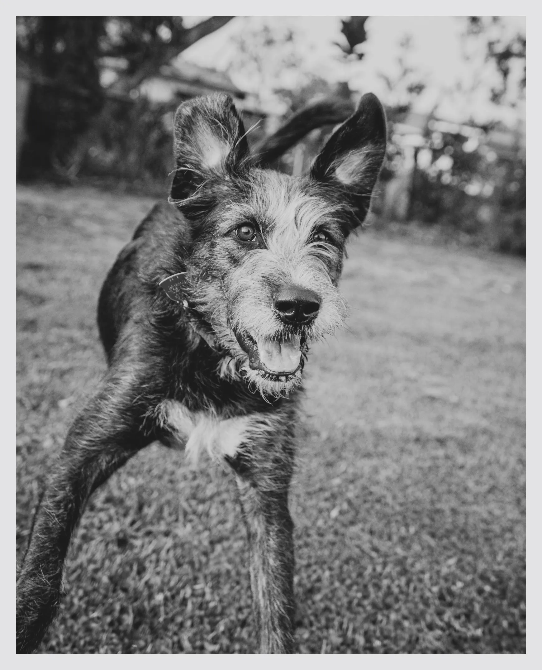 Personal photograph from Hemingway