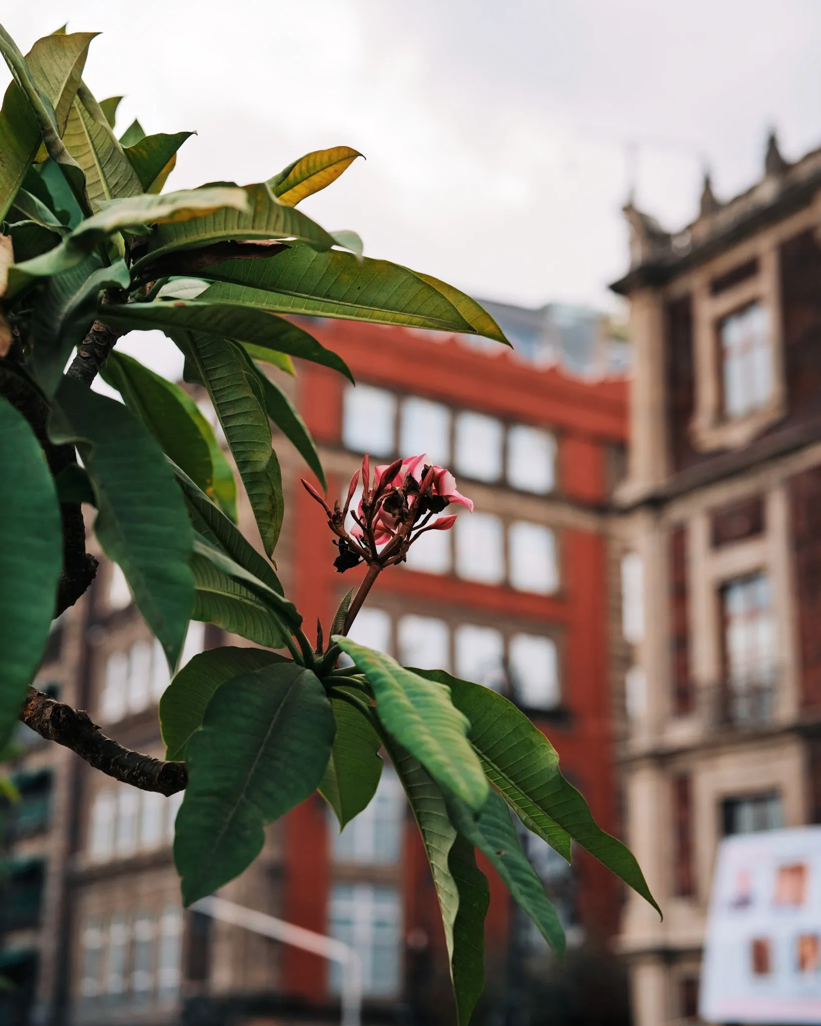 Personal photograph from Mexico City