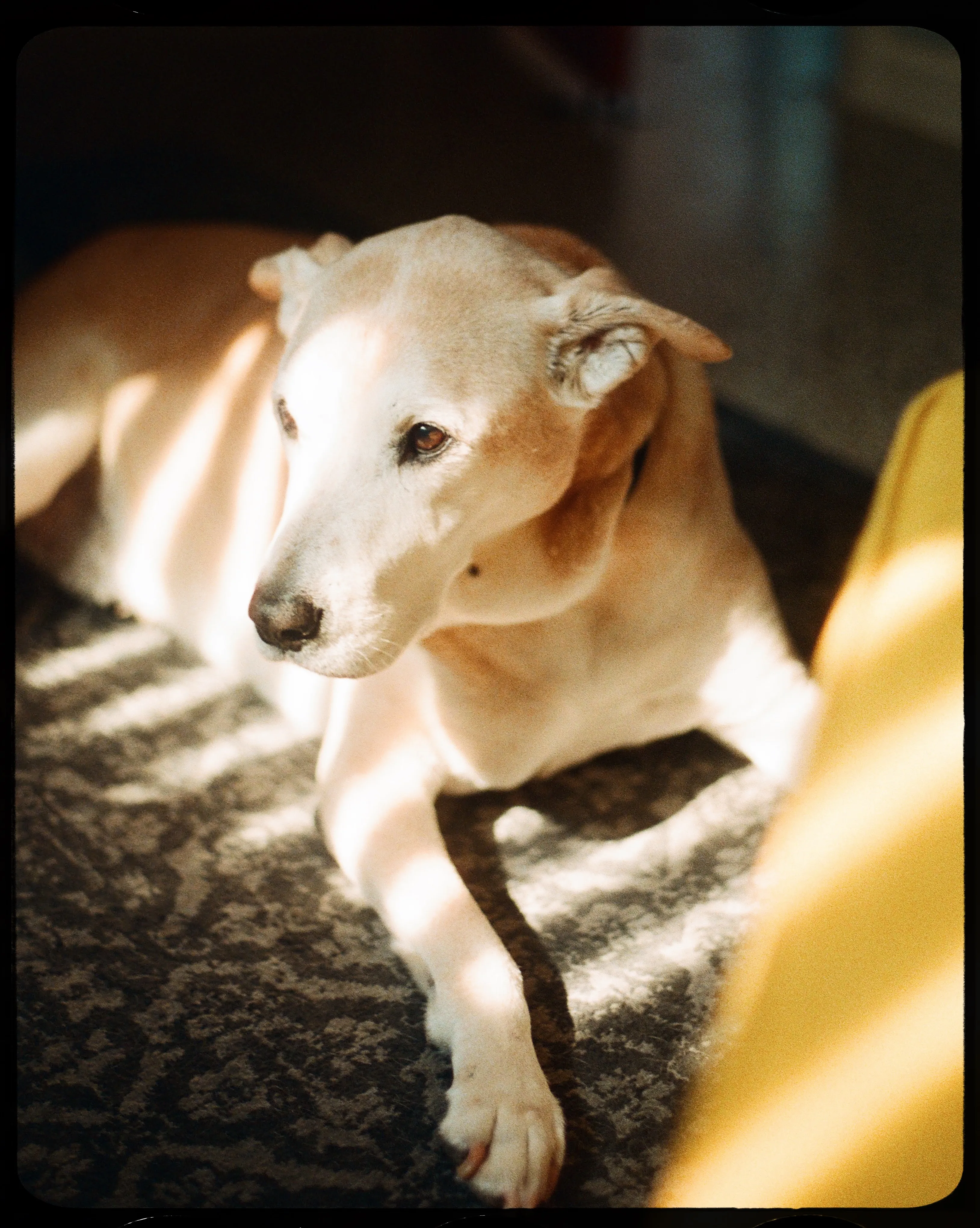 Personal photograph from Moogie