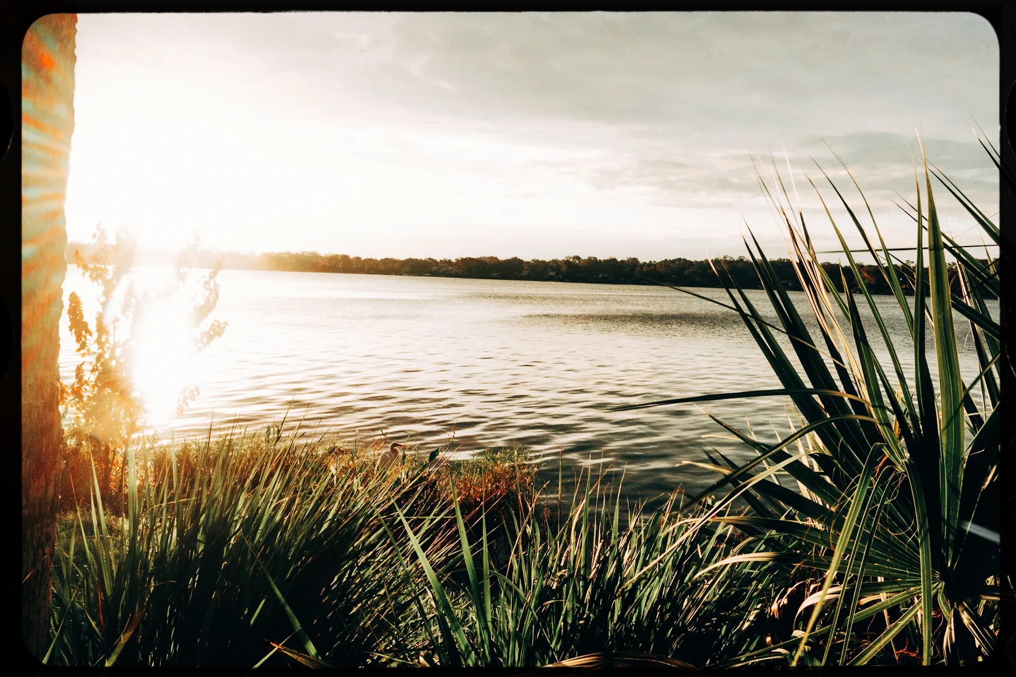 Personal photograph from Rollins College