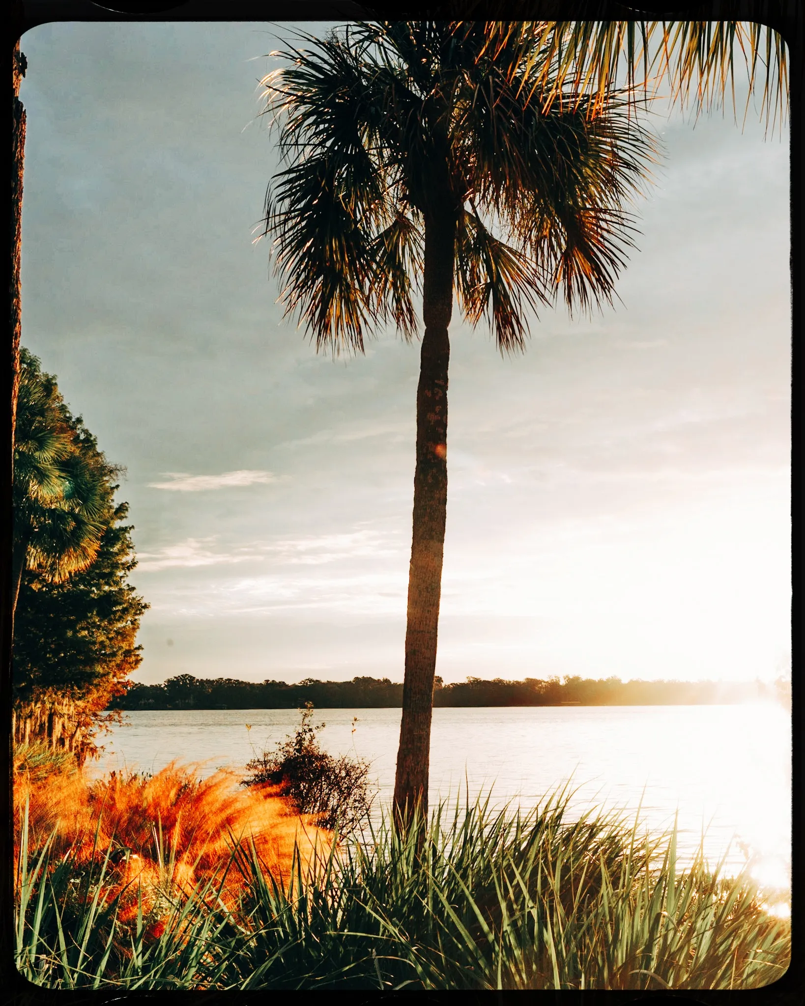 Personal photograph from Rollins College