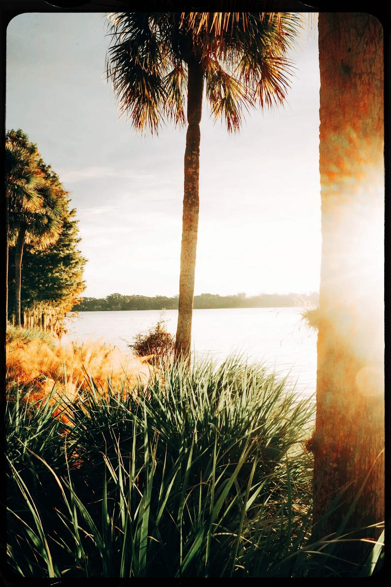 Personal photograph from Rollins College