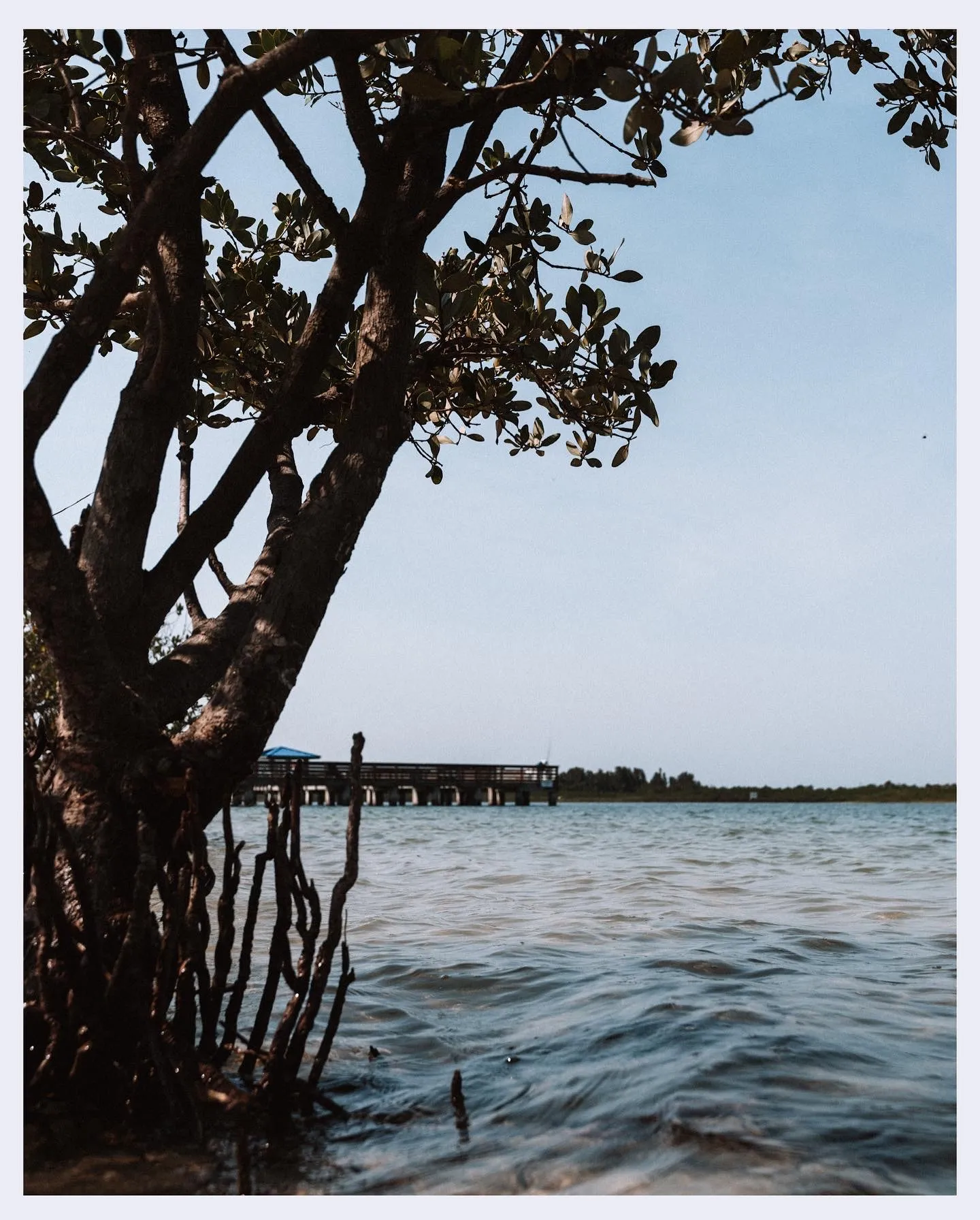 Personal photograph from Skyway Bridge